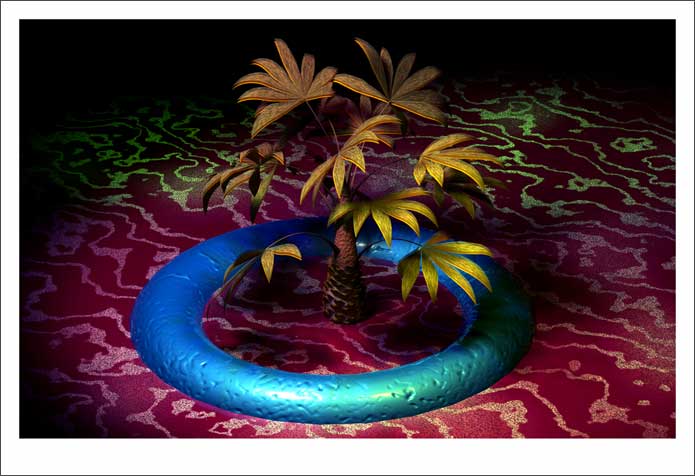 Torus and Palm, 2003