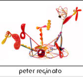 peter reginato home