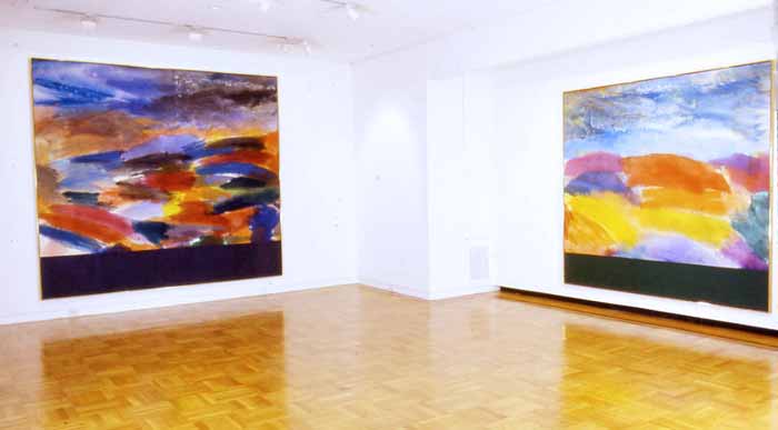 Instalation View at Salander-O'Reilly, July 2000